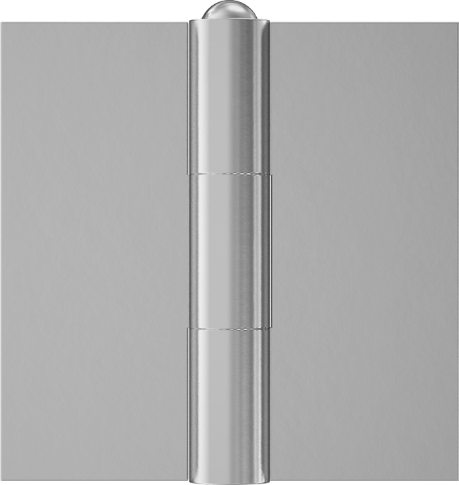 McMaster 1609A2 Hinge without Holes, Removable Pin, 5" × 2-1/2" Door Leaf, 1/4" Leaf Thickness
