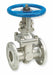 Sharpe 4371004840 316 Stainless Steel Gate Valve 2 in
