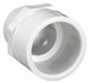 Approved Vendor 436020 PVC Pipe Adapter, 2 in