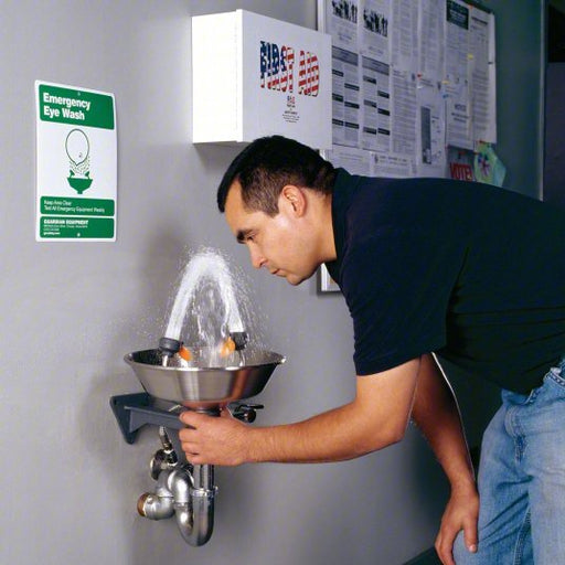 Guardian G1814 Plumbed Eyewash Std, Wall Mnt, Eyes Coverage, Uncovered, Stainless Steel Bowl - KVM Tools Inc.KV2LVH6
