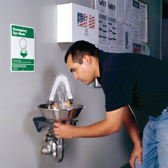 Guardian G1814 Plumbed Eyewash Std, Wall Mnt, Eyes Coverage, Uncovered, Stainless Steel Bowl - KVM Tools Inc.KV2LVH6