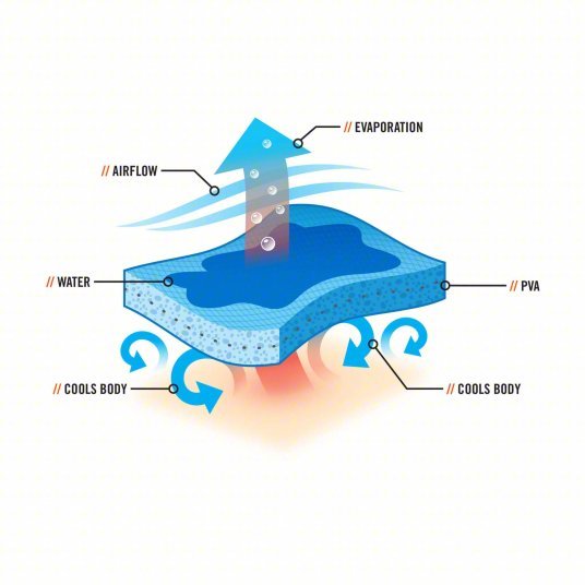 Ergodyne Chill - Its 6602 Evaporative Cooling Towel Blue, Universal, PVA, Evaporative - Cooling - KVM Tools Inc.KV2EMK6