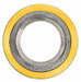 Flexitallic CGI Spiral Wound Gasket