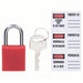 Brady 143150 Lockout Padlock Keyed Different, Nylon, Aluminum, Std, Red, 1 Pack Size, Plastic - KVM Tools Inc.KV39N179