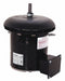 Century OCA1056 Condenser Fan Motor, 1/2 HP, 1075 RPM, 200-230/460V AC, Carrier/BDP OEM Replacement