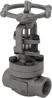 McMaster 4784K34 High-Pressure Gradual On/Off Valve, Pressure Class 800, Steel, Standard Port, 3/4 NPT Female