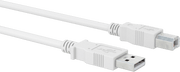 McMaster 4974T16 USB Cord, USB Standard 2.0, A Plug x B Plug, 10 Feet Long