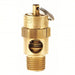 Conrader SRV250 - 14 - 100 SST Air Safety Valve Soft Seat, 1/4 in (M)NPT Inlet (In.), 1/4 in (F)NPT Outlet (In.), Brass - KVM Tools Inc.KV55RU82