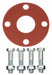 Approved Vendor GSFFG2.5 SBR Flange Gasket