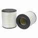 Fleetguard AF25139M Round-Oval Engine Air Filter