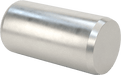 McMaster 98381A503 Dowel Pin