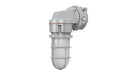 Rig-A-Lite AVPH20L2UHFGC Ceiling Mount LED Globe & Guard Lighting for Hazardous Locations - KVM Tools Inc.AVPH20L2UHFGC