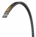 Continental BX55 Cogged V-Belt