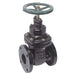 Watts NRS-RW-Gate21/2 Cast Iron Gate Valve 2-1/2 in