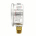 PIC 201L-204E Pressure Gauge, 0 to 100 psi, 1/4 in MNPT, Stainless Steel, Silver - KVM Tools Inc.KV19RZ17