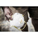 3M 8511PA1-A Disposable Respirator Dual, Non-Adj, Metal Nose Clip, Std, White, M Mask Size,N95, 12 PK - KVM Tools Inc.KV2JCN5