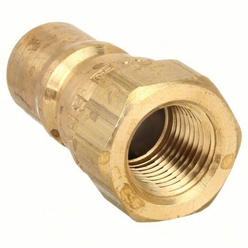 Parker BH2-61 Hydraulic Quick Connect Hose Coupling, Brass Body, Ball Lock, 1/4"-18 Thread Size, 60 Series - KVM Tools Inc.KV31A880