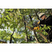 DeWalt DCCS620B Cordless Chain Saw Battery Powered, 12 in Bar Lg, 20 V Battery Volt (Tool Only) - KVM Tools Inc.KV423K75