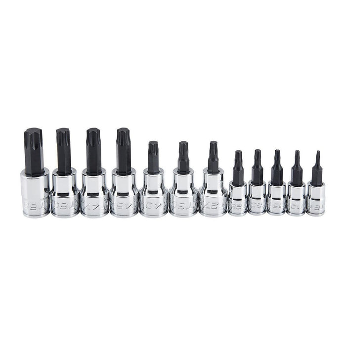 Icon 56366 1/4 in., 3/8 in. Drive Professional TORX Bit Socket Set, 12-Piece - KVM Tools Inc.KVHF56366